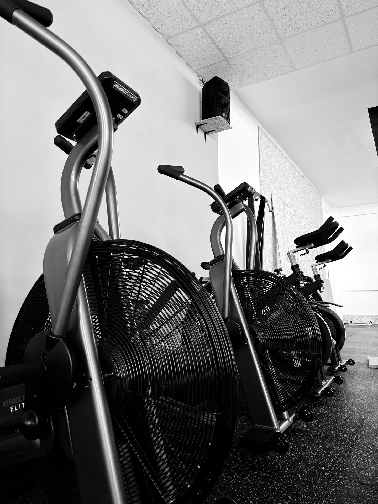 FIR Strength GYM - foto 2