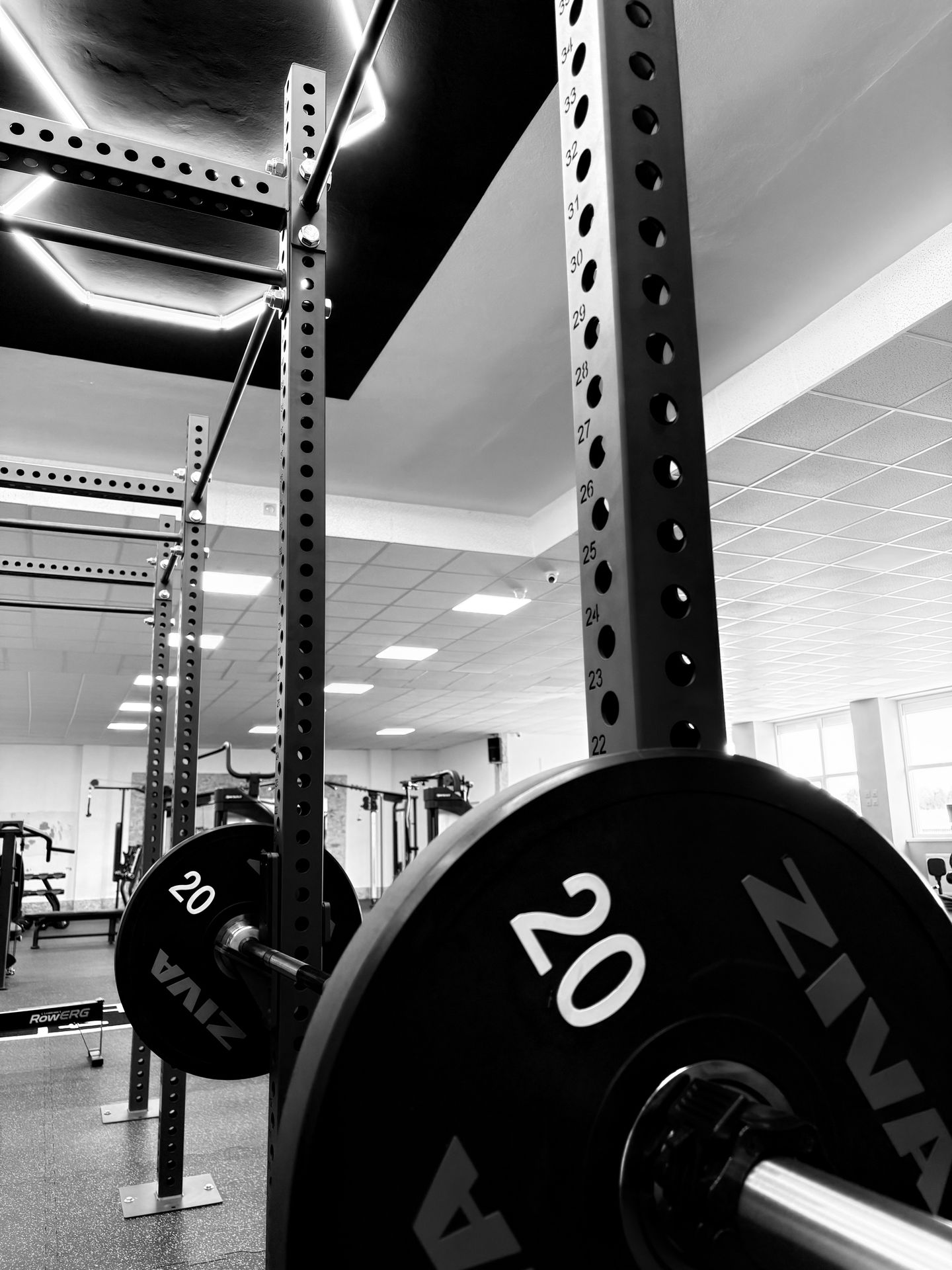 FIR Strength GYM - foto 4