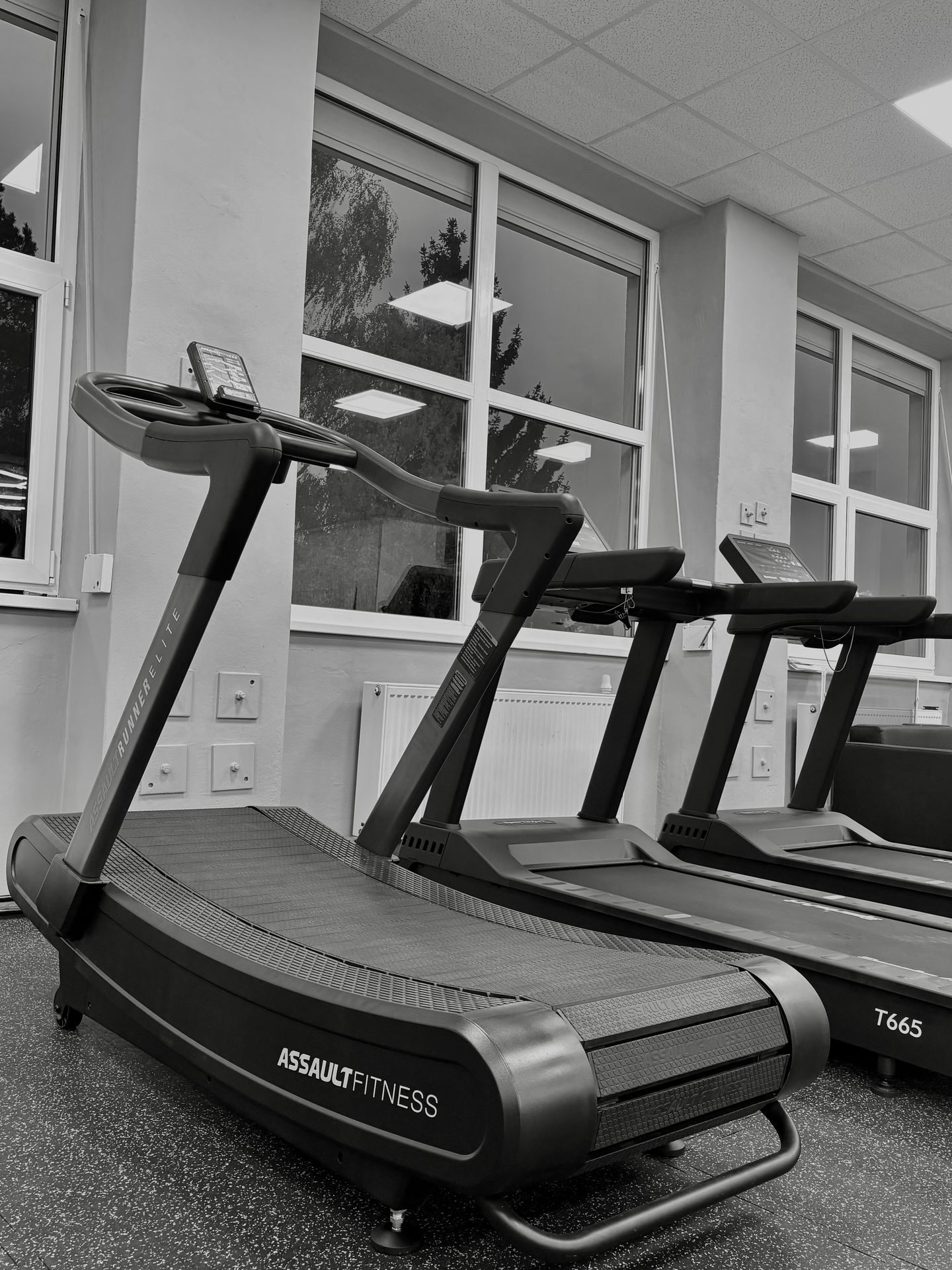 FIR Strength GYM - foto 8